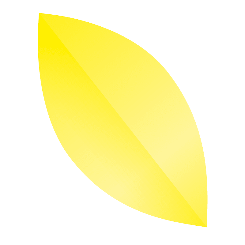 auxiliadom-petale-jaune