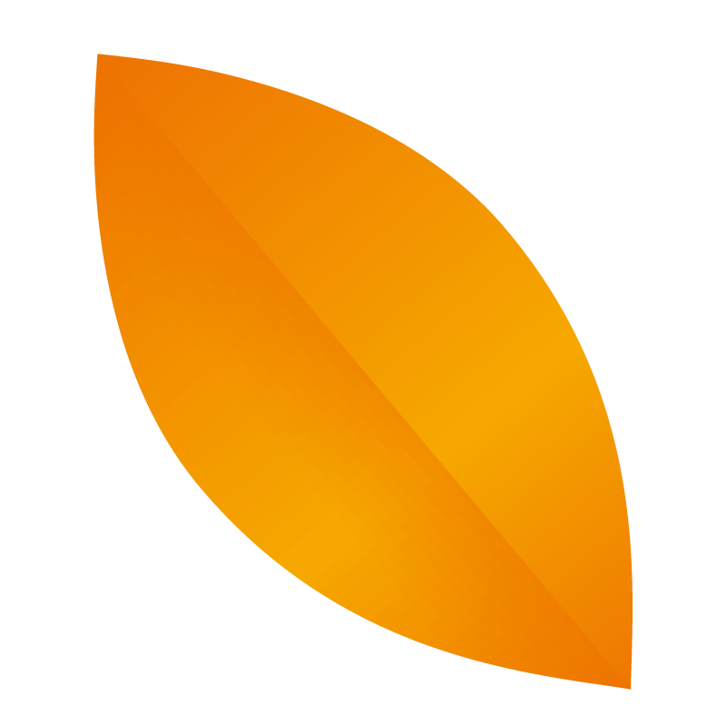 auxiliadom-petale-orange