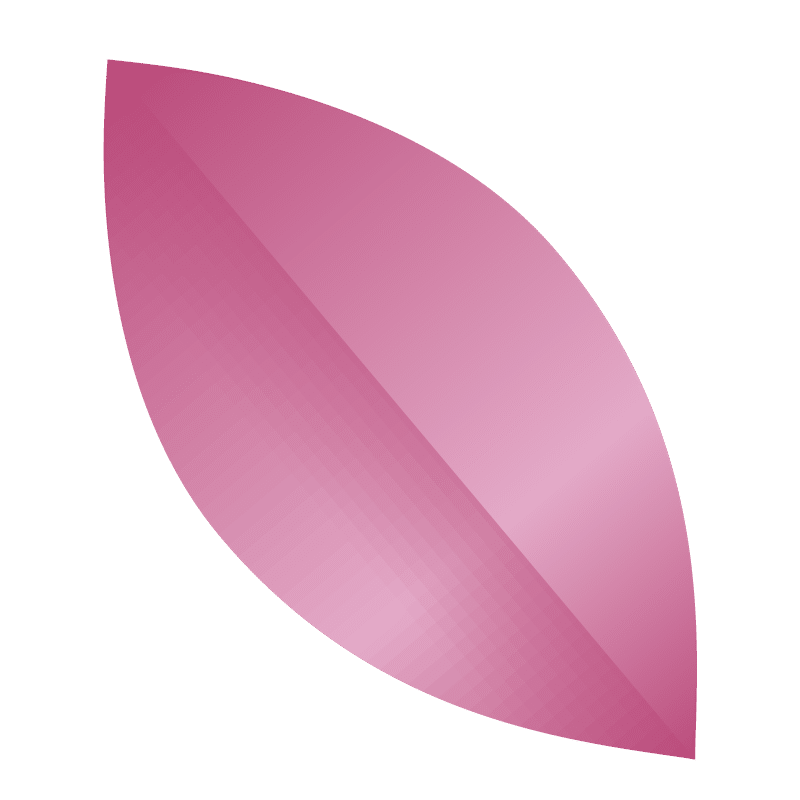auxiliadom-petale-rose