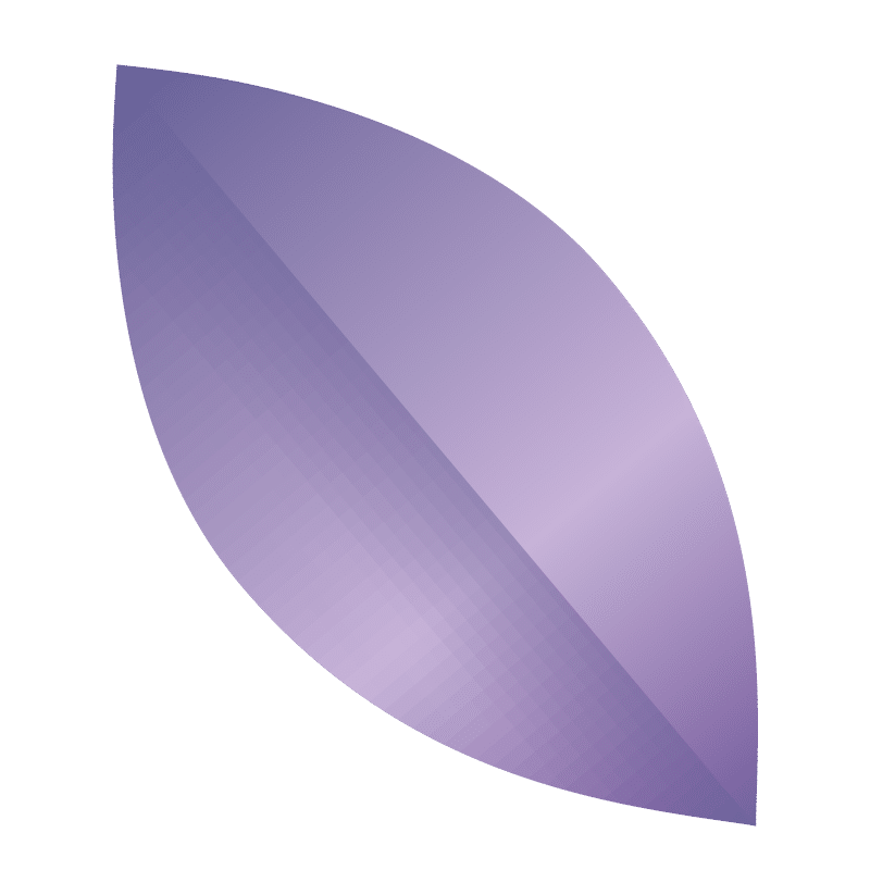 auxiliadom-petale-violet
